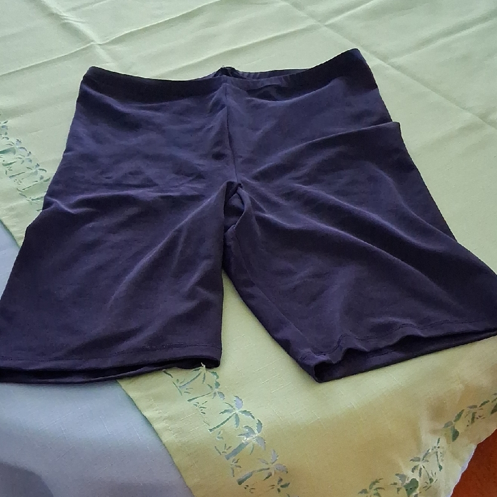 Women's Purple Swim Bikini Bottom